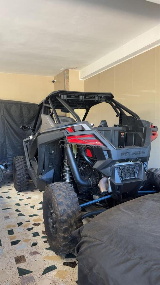 Polaris Rzr Pro Xp Buggy 