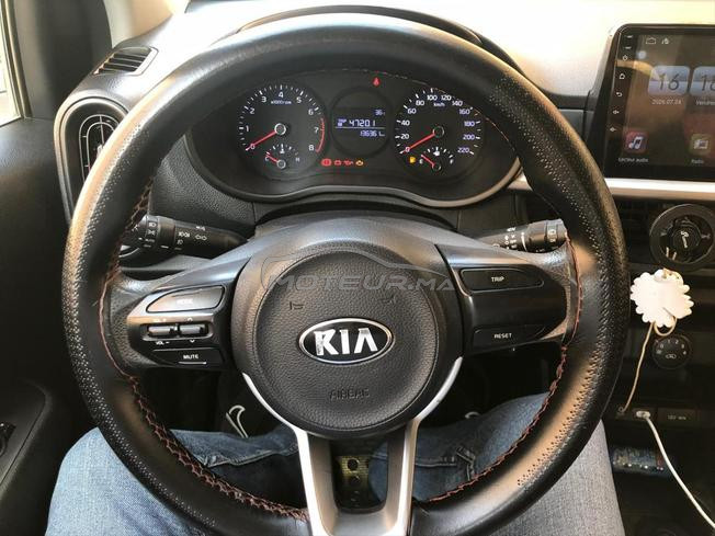 picanto 2019  