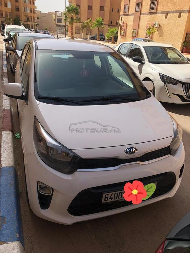picanto 2019  