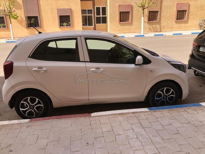 picanto 2019  