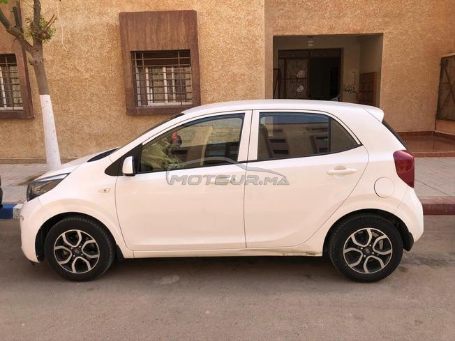 picanto 2019  