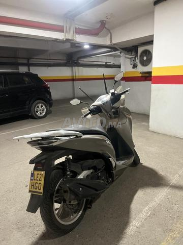 Sh 350i Malossi ( avant - arrière) - 2