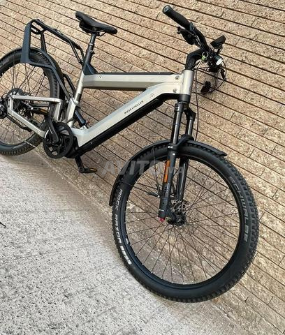 Vélo Riese Muller Superdelite GT 45 km