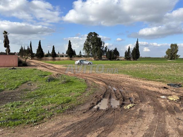 Terrain agricole surface 9,2 hectares - 2