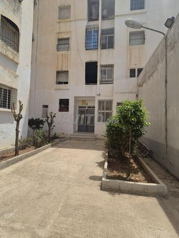 Nouvel appartement avec deux façades avant le Mashrek - 2