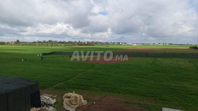 Ferme à Bir Jdid à vendre - 2