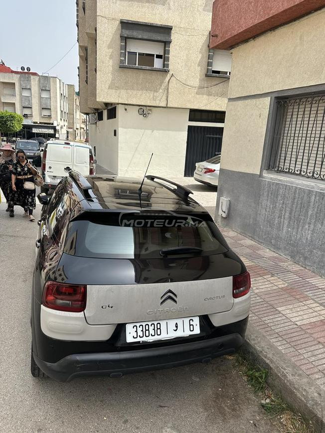 citreon c4 cactus 