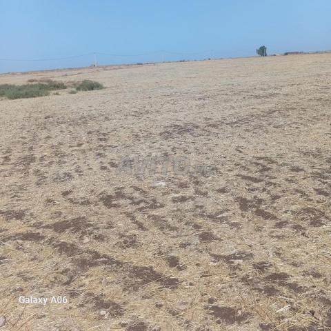 بقعة فلاحية للبيع بأولاد افراج الجديدة - 2
