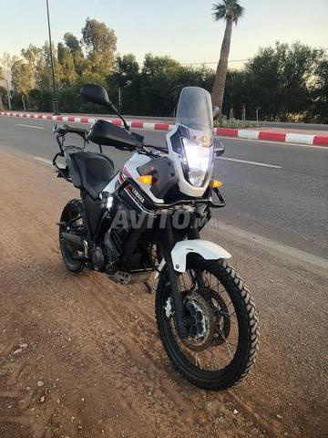 Yamaha XTZ660 Ténéré - 2