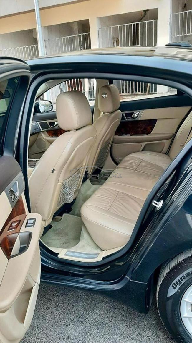 jaguar XF X250