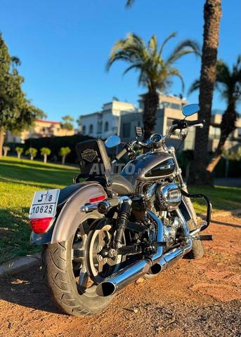 Harley-Davidson Sportster SuperLow 883 - 2