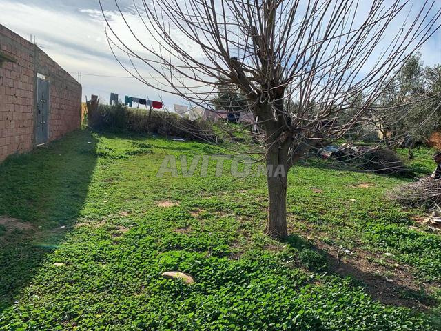 🏡 منزل مع أرض بمساحة 2400 متر مربع للبيع بالقرب من الخميسات