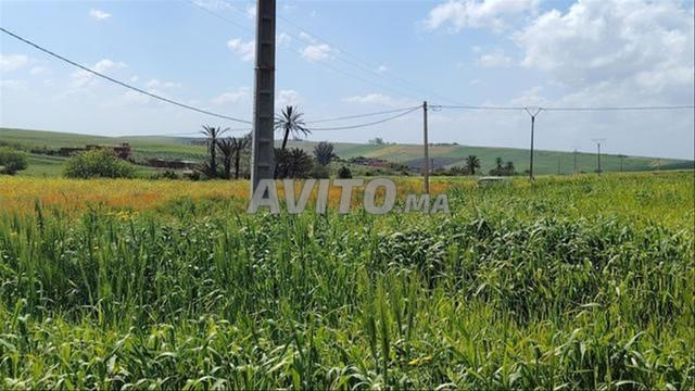 أراضٍ محفظة بئر جديد للسكن أو الاستثمار - 2