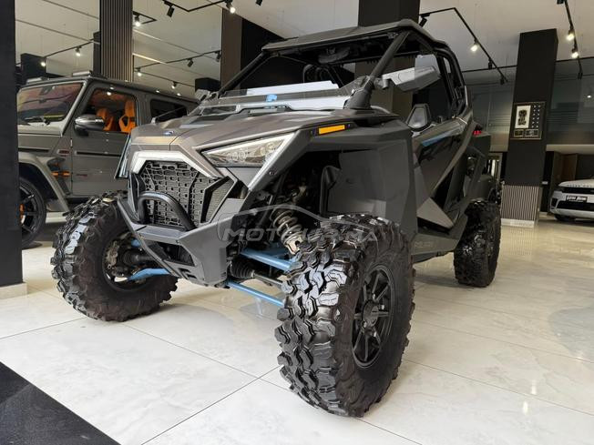 Polaris Rzr Pro Xp Buggy 