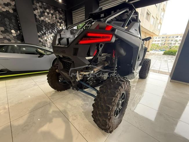 Polaris Rzr Pro Xp Buggy 