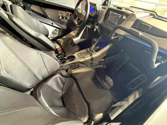Polaris Rzr Pro Xp Buggy 