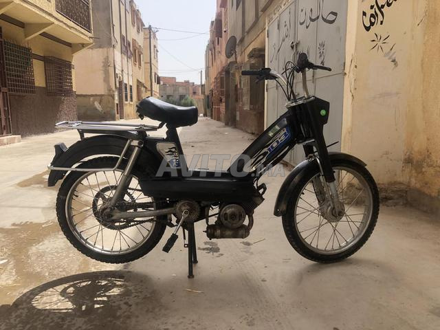 بيجو نظيفة - 2