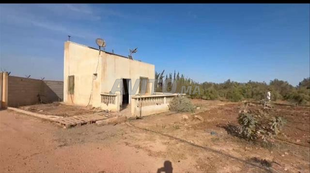 مزرعة مسجلة في أولاد أبو - 2