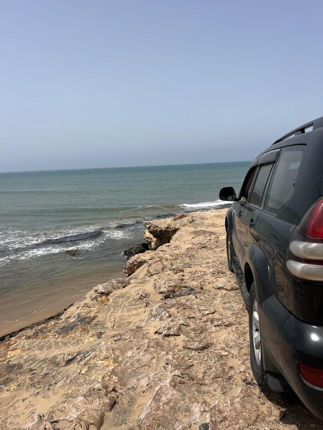 Toyota Prado Diesel Automatique 2009 à El Hajeb