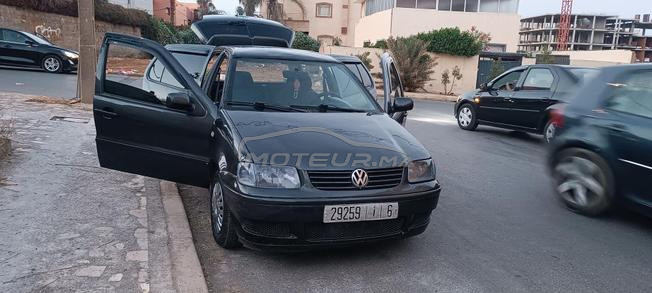 polo mazot