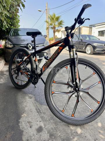 Vélo ITALIANO et Porte vélo MOTTEZ - 2