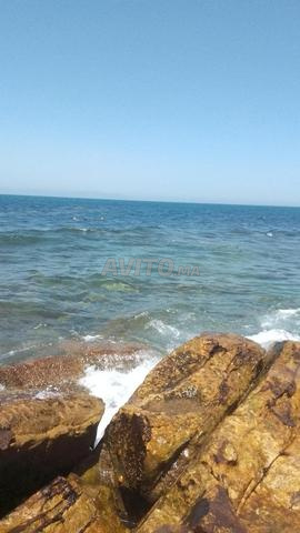 حدائق طنجة - 2