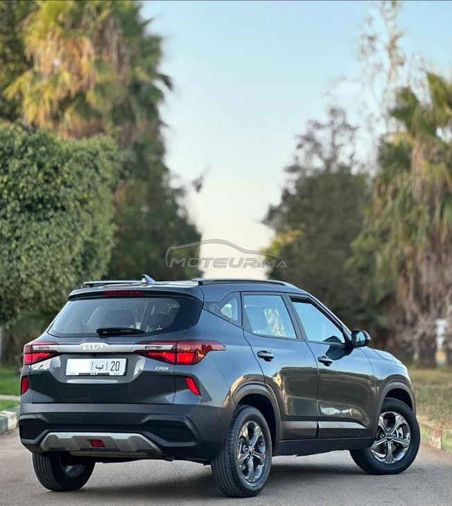 KIA Seltos 1.5 CRDi 115 Automatique 2022