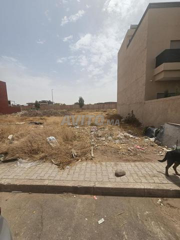 TERRAIN TITRÉ 150 m² – DOUAR SIDI MOUSSA - 2