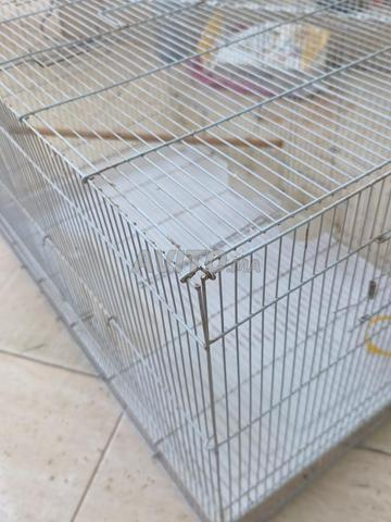 Cage 0.5 mètre - 2