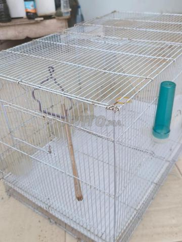 Cage 0.5 mètre