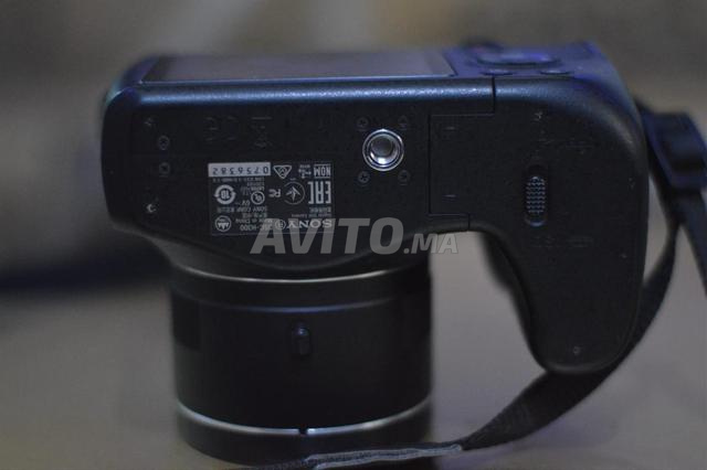 سوني سايبر شوت DSC-H300 - 2