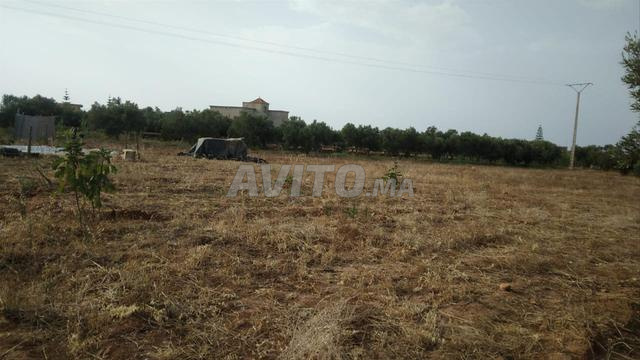 Terrain agricole enregistré à vendre à Arkmam 📍 - 2