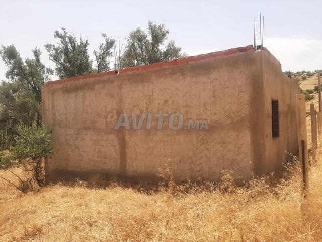 Vente terrain agricole à Taza avec nouvelle structure de maison - 2