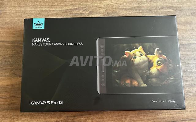 Huion Kamvas pro 13 très bon état - 2