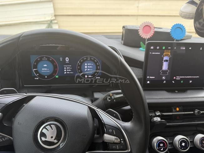 Kodiaq 2024 plus