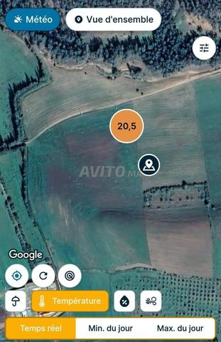 Vends terrain titré 5 hectares