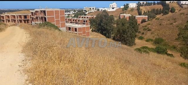 أرض للبيع (فلل أو تجزئة) - 2