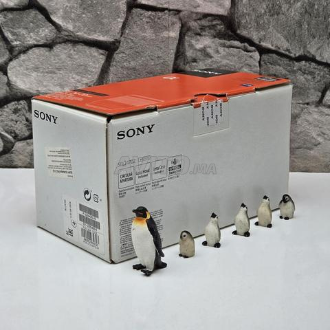 Objectif SONY FE 24-70mm F4 / NEUF - 2