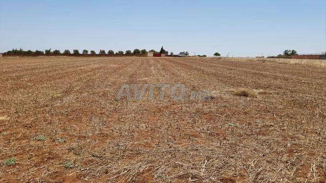 Terrain titré de 11 425 m² à vendre – Zone Villa