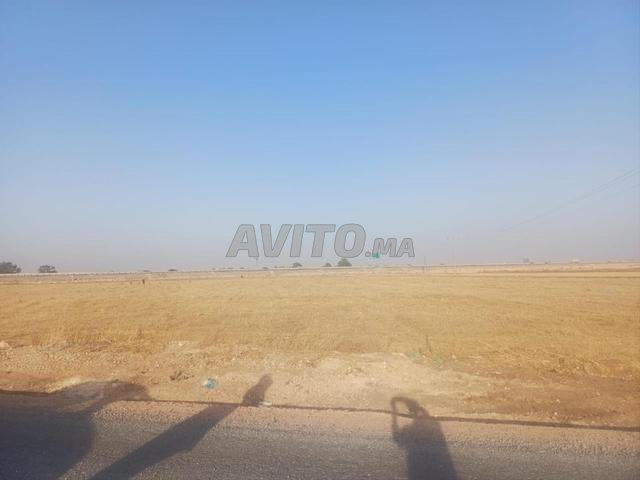 أرض للبيع صناعية - 2