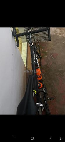 Basso Diamante SV - 2