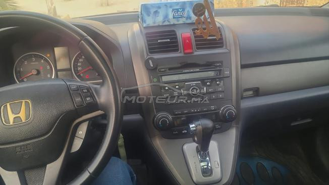 طنجة اهلان  