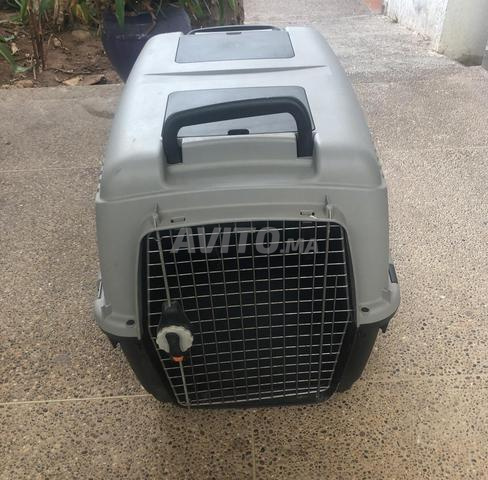 Cage de transport IATA Braco grande taille