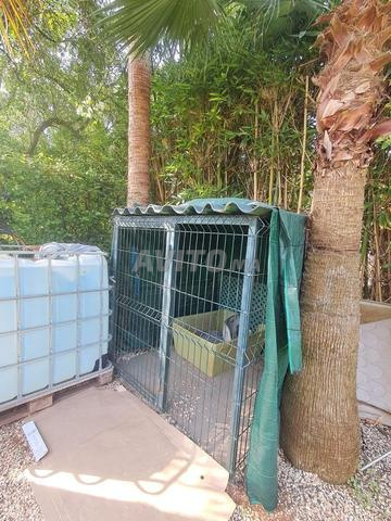 Grande cage pour chien – 1,50 × 1,50 × 1,50 m - 2