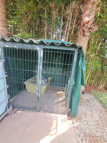 Grande cage pour chien – 1,50 × 1,50 × 1,50 m