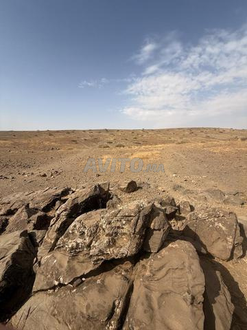 أرض فلاحية مليكة - 2
