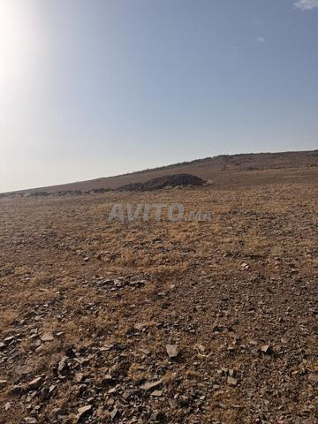 أرض ملكية - 2