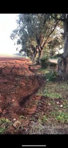 Terrain de 2,5ha sur national