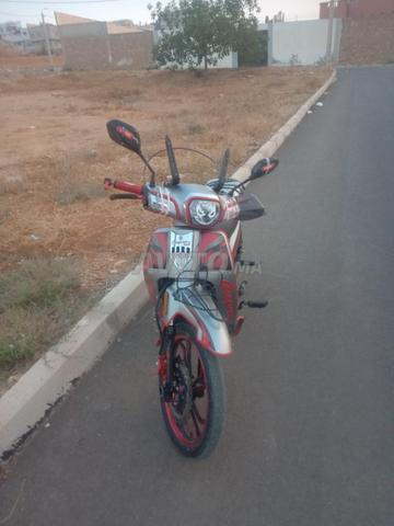 Taz ////// 2023/3 - 2
