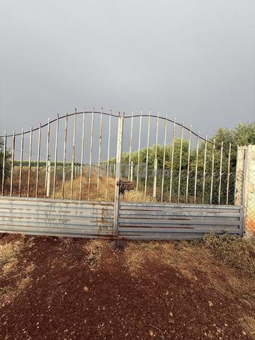 Terrain Agricole Titré 4 Ha – El Hajeb